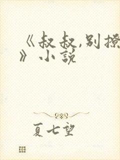 《叔叔,别撩我》小说