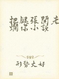 把腿张开老子臊烂你小说