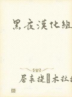 黑夜汉化组封面