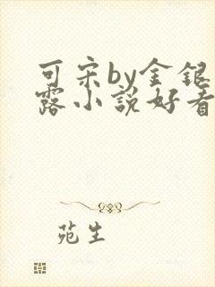 可宋by金银花露小说好看吗