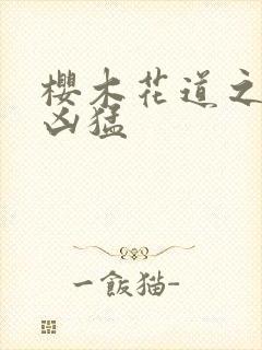 樱木花道之重生凶猛