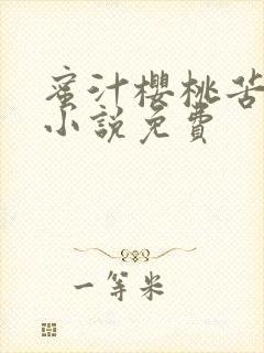 蜜汁樱桃苦咖啡小说免费