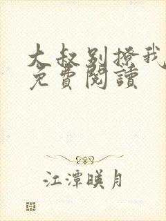 大叔别撩我小说免费阅读