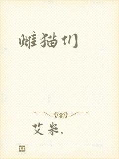 雌猫们