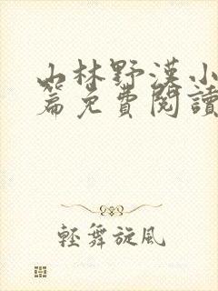 山林野汉小说全篇免费阅读