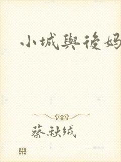 小城与后妈封面