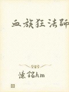 血族狂法师封面