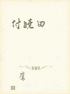 付晓田