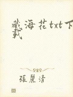 藏海花txt下载