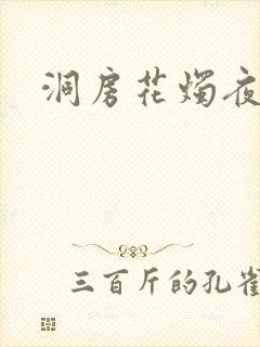 洞房花烛夜小说封面