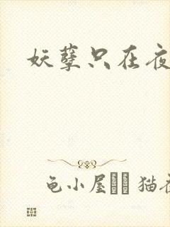 妖孽只在夜里哭封面