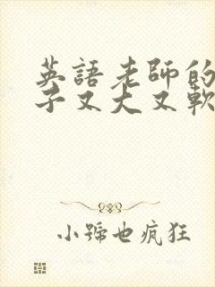 英语老师的小兔子又大又软封面