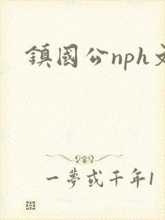 镇国公nph文