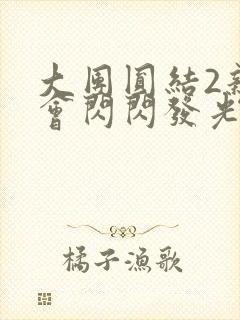 大团圆结2亲情会闪闪发光亲情会2