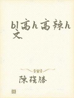 bl高h高辣h文