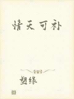 情天可补