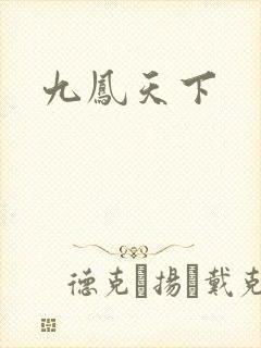 九凤天下