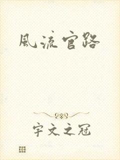 风流官路
