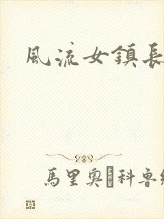 风流女镇长