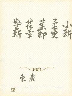 警花叶柔小说最新章节更新