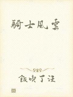 骑士风云封面
