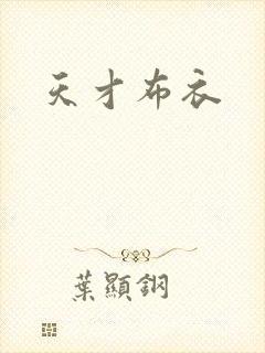 天才布衣封面