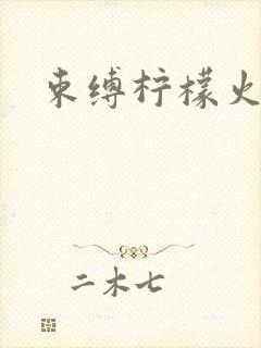 束缚柠檬火焰封面