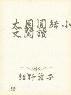 大团圆结小茹全文阅读封面