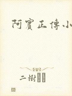 阿宾正传小说