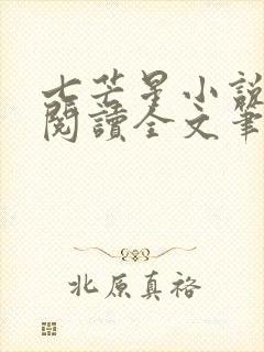 七芒星小说免费阅读全文笔趣阁