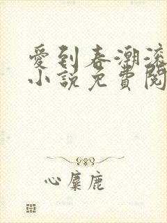 爱到春潮滚滚来小说免费阅读