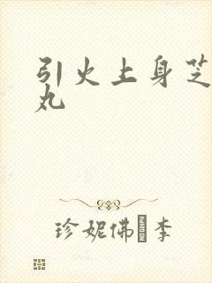 引火上身芝麻糖丸