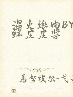 温火炖肉BY海鲜皮皮酱