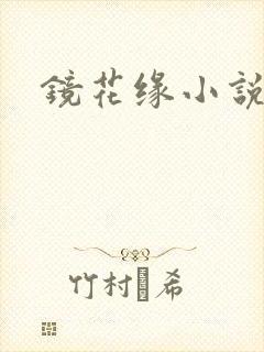 镜花缘小说