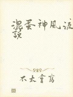 混蛋神风流史小说