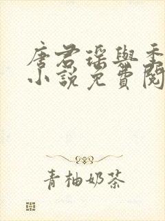 唐君瑶与季翰诚小说免费阅读全文最新章节封面