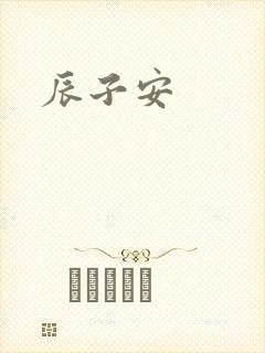 辰子安封面