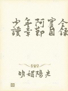 少年阿宾全文阅读章节目录