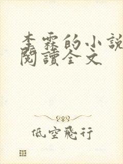 李霖的小说免费阅读全文