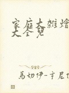 家庭大杂烩小说大全儿