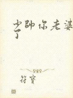 少帅你老婆又跑了