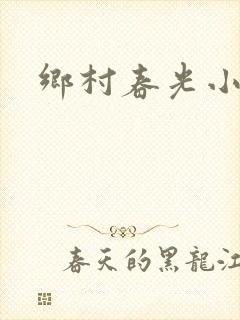 乡村春光小说