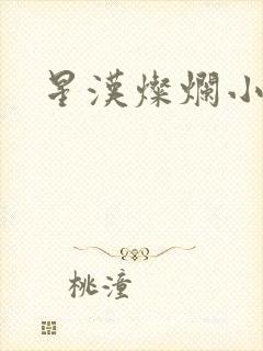 星汉灿烂小说封面