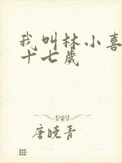 我叫林小喜今年十七岁