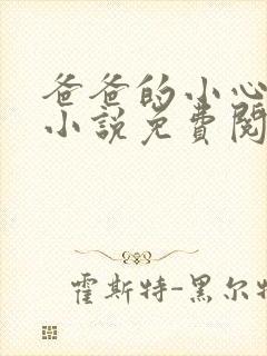 爸爸的小心肝儿小说免费阅读