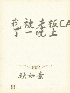 我被老板CAO了一晚上