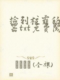 捡到校霸的遥控器txt免费阅读by阳阳