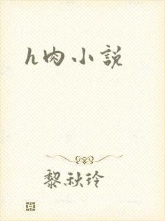 h肉小说