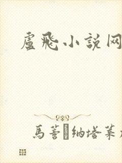 卢飞小说网封面