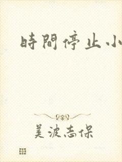 时间停止小说